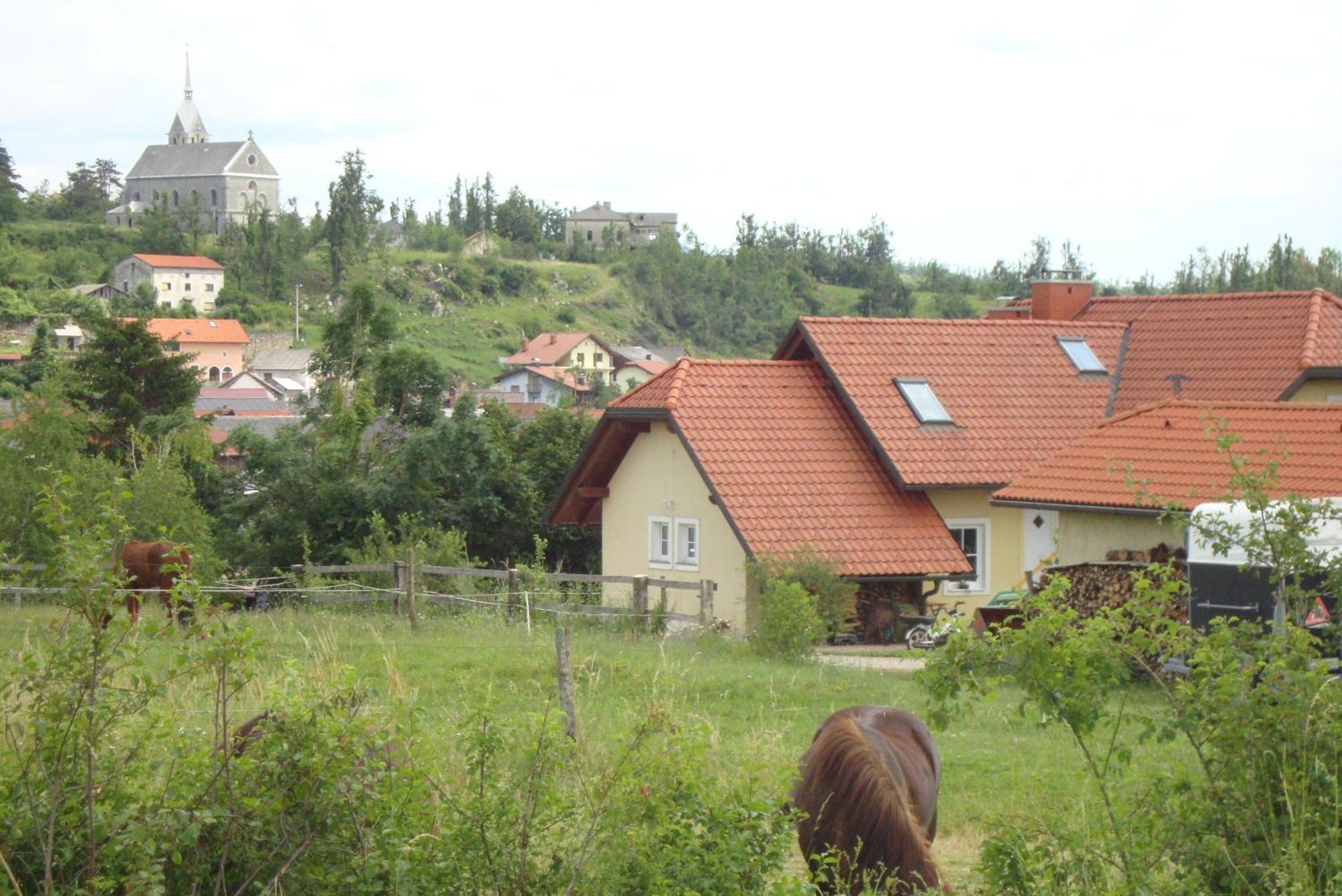 Bed And Breakfast Trnje Pivka Exterior photo