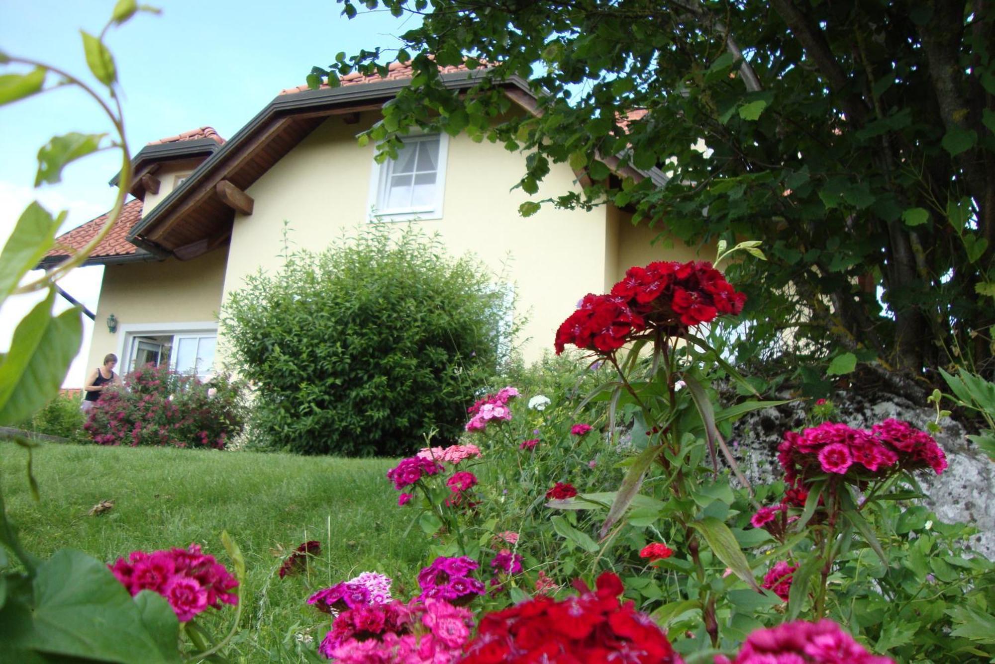 Bed And Breakfast Trnje Pivka Exterior photo