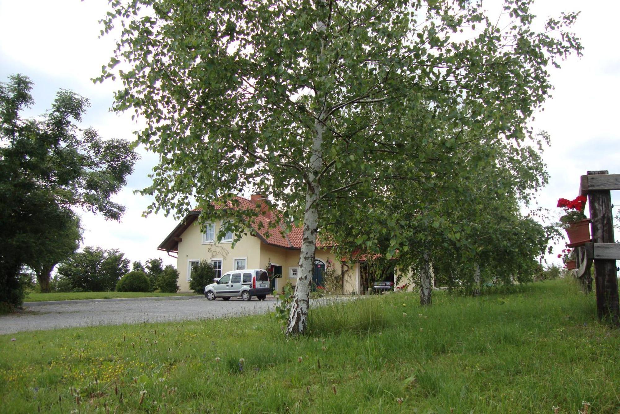 Bed And Breakfast Trnje Pivka Exterior photo