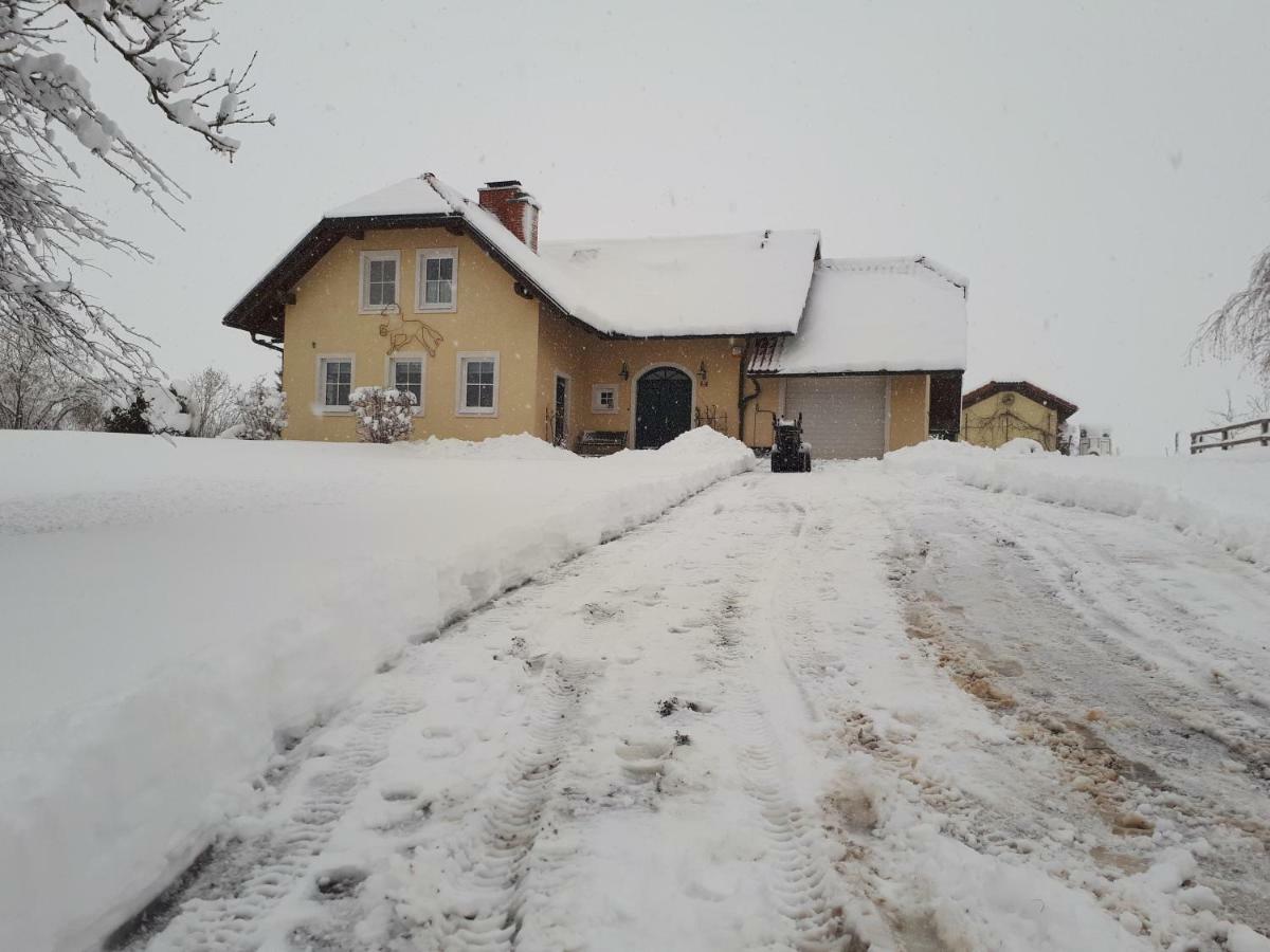 Bed And Breakfast Trnje Pivka Exterior photo